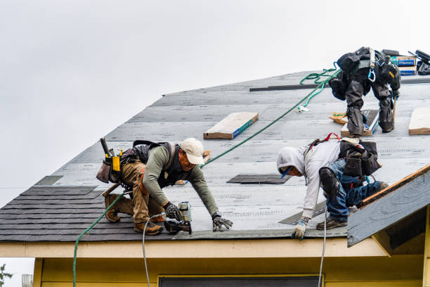 Professional Storm Damage Roof Repair technician working in Robards, KY